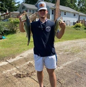 Meet your Posher, Gavin